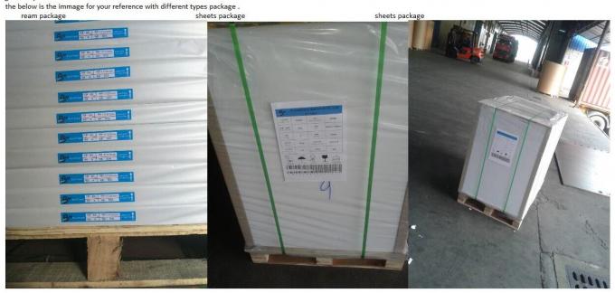 High bulky GC1 GC2 FBB SBS Paperboard Folding box board with One Side Coated C1S White Paper