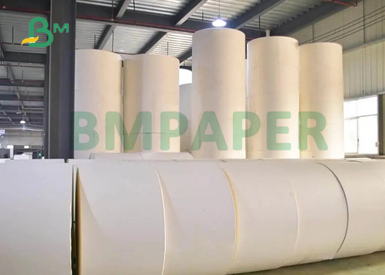 150 میکرون PP PET مصنوعی مواد پوستر کاغذ 285 x 430 میلی متر مقاوم در برابر پارگی