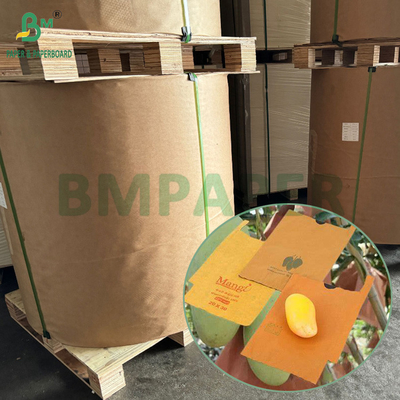 54 گرام 56 گرام کاغذ یک یا دو لایه برای حفاظت از میوه های انگو