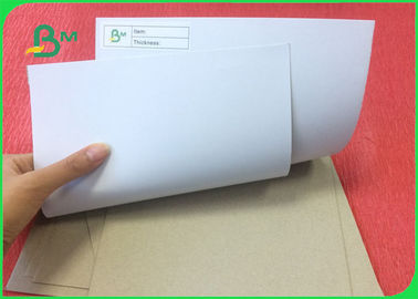 250 گرم پانل کاغذی دو طرفه پوشش داده شده با پشت خاکستری برای چاپ