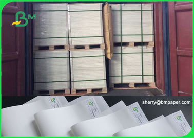 100 - 200um Eco Friendly زیست تخریب پذیر کاغذ بسته بندی برای نوت بوک در رول