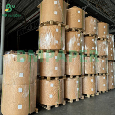 کاغذ فیلتر قهوه 50 گرم 328 میلی متر سفید و غیر سفید
