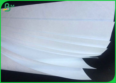 کاغذ چاپگر فیبر سازگار با محیط زیست و قابل مشاهده مقاوم در برابر رطوبت