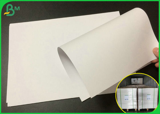 سازگار با محیط زیست چاپ افست کاغذ رول 140 گرمی برای کیسه کاغذ
