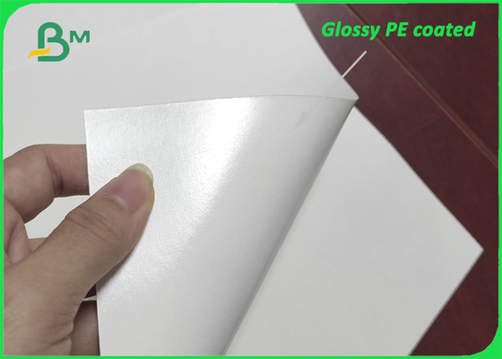 کاغذ پوشش داده شده پلی اتیلن تک طرفه براق 280 گرم + 15 گرم پلی اتیلن برای لیوان های کاغذی