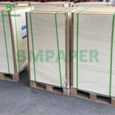 کارتونی آب گیرنده با سیب زیاد 1 میلیمتر 1.4 میلیمتر کاغذ سفید آبجو برای کوستر