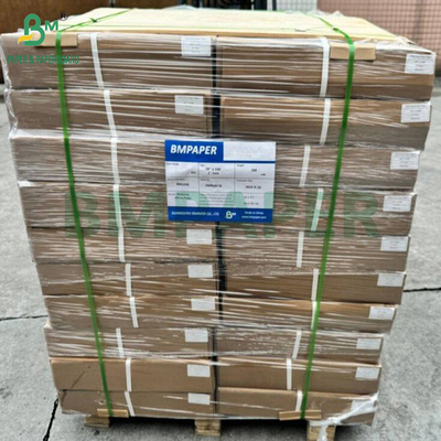 40gm دو طرفه سیلیکون پوشانده کاغذ رول برای پخت و پز مواد غذایی درجه کاغذ بسته بندی سفید