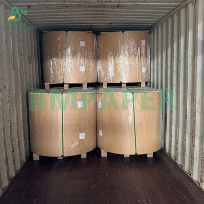 50gm کاغذ فیلتر قهوه سفید شده و غیر سفید شده