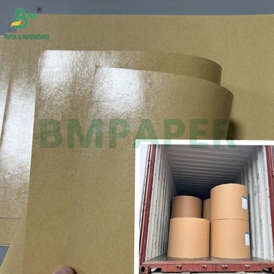 300gm ضد چرب 1 طرف کاغذی پوشش PE برای جعبه ناهار 70 x 100 سانتی متر
