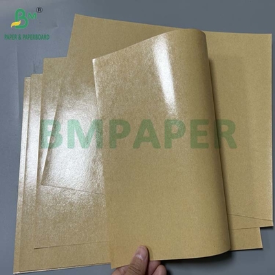 300gm ضد چرب 1 طرف کاغذی پوشش PE برای جعبه ناهار 70 x 100 سانتی متر