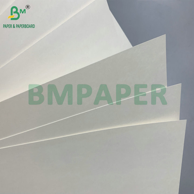 مقاوم در برابر آب واحد PE پوشش 190gsm 210gsm Cupstock برای ساخت فنجان های کاغذی گرم و سرد