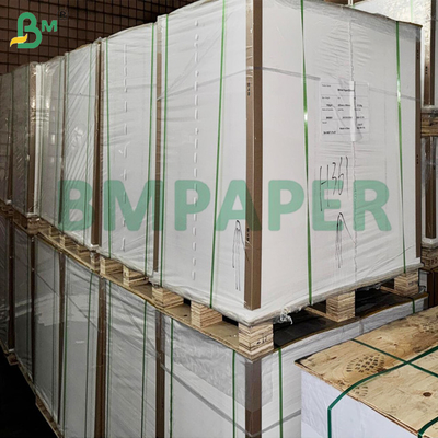 PET Film High Temperature Resistant Paper Board For Microwaveable Baking Tray