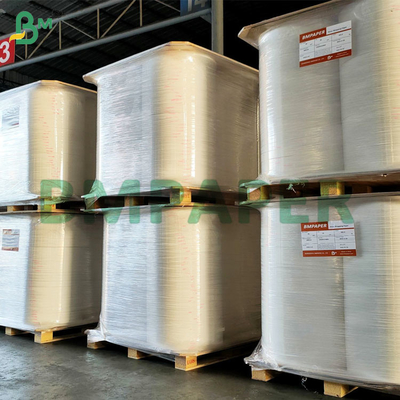 100gm نباتات چوبی نوجوانی سفید رنگ برگه های کاغذی برای نقاشی