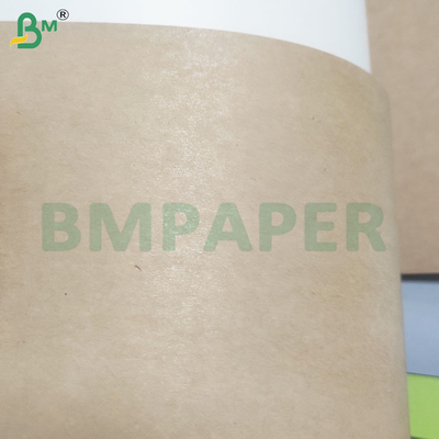 195gsm+15gsm ورق های کاغذی پوشانده شده PE برای ظرف های مواد غذایی