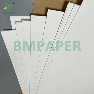 Good Adhesion Heat Sealing Blister Cardboard 400g for Clamshell Packing