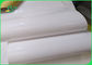 سازگار با محیط زیست 40gsm + 10g PE رول کاغذ درجه مواد غذایی بسته بندی شده برای فلفل
