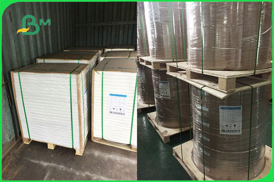 کاغذ روکش شده PE تنها برای صفحات یکبار مصرف FSC FDA تأیید شده است