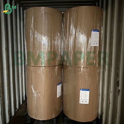 کاغذ فیلتر قهوه 50 گرمی 340 میلی‌متری 380 میلی‌متری، درجه غذایی، سفید و قهوه‌ای، برای قهوه‌خانه