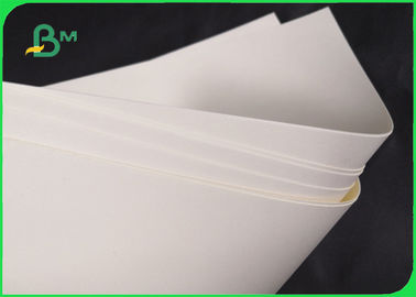 مقاله قابل تجزیه زیستن قابل حمل 190gsm 210gsm مقاله Cupstock برای کاسه مواد غذایی 720MM 860MM