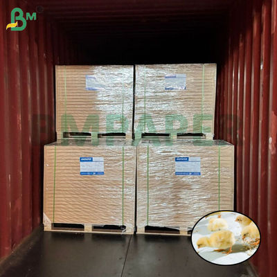 کاغذ پرورش جوجه سفید کاغذ مرغ برای پرورش مرغ 66cm 100cm