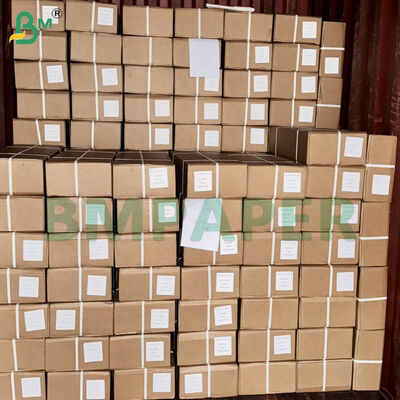 300 گرام رول های کاغذ نيمه شفاف 914mm*100m در هر رول