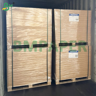 کاغذ غذای ایمن برای مایکروویو برای بشقاب‌های کاغذی، لیوان‌ها مقاوم در برابر برش