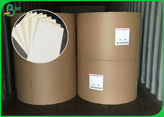 FSC Certificate Recycled Pulp 230GSM 250GSM Duplex Board Dimension Customized