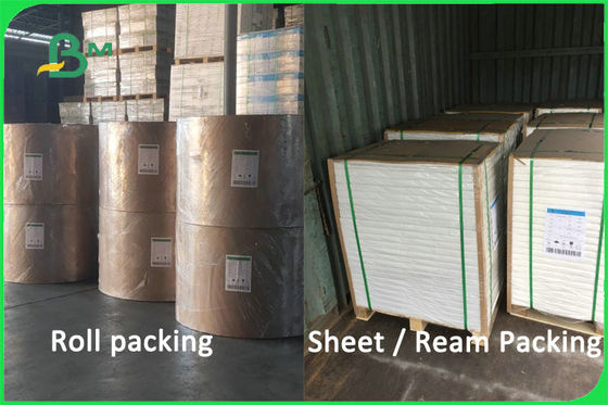 100 Virgin Virgin Pulp Biodegradable Cup Paper Paper Material 170 - 300gsm FDA FSC