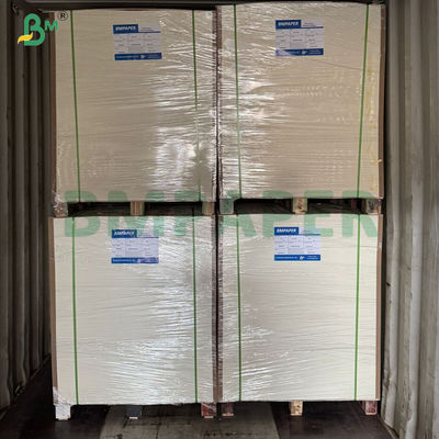 مقاومت در برابر دمای سفید یک طرفه PE پوشانده شده کاغذ جام