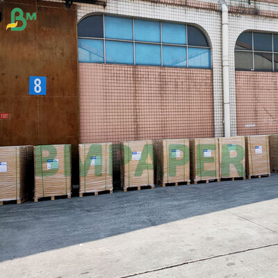 کاغذ روغنی رنگارنگ برای پخت کیک فنجانی، ضد چسب، برای پخت مافین