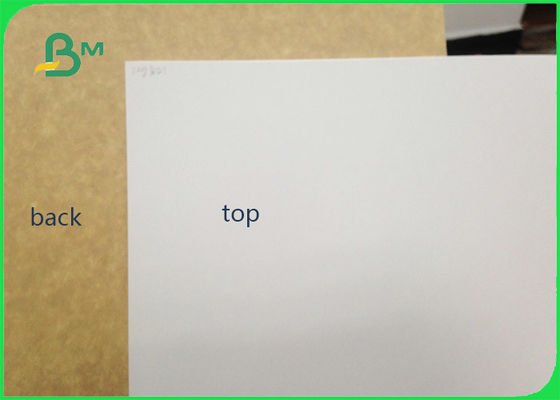 450gsm FSC Certified Clay Coated کرافت کاغذ بسته بندی مواد کاغذ رول / کاغذ سفید برای بسته بندی