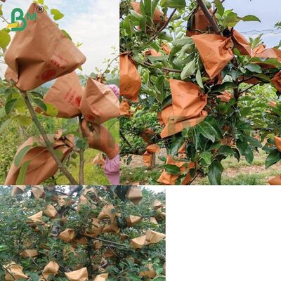 کاغذ بیرونی قرمز کاغذ بسته بندی میوه برای بسته بندی سیب، 56gsm کاغذ پاکت سیب بدون موم