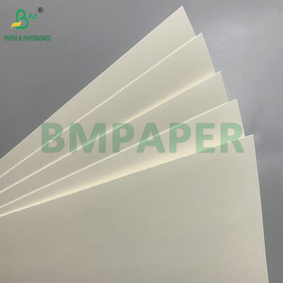 کاغذهای بیوتراژ و مایکروویو امن برای ساخت کاسه های یکبار مصرف برای سالاد