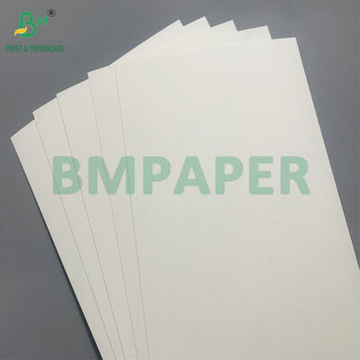 کاغذهای بیوتراژ و مایکروویو امن برای ساخت کاسه های یکبار مصرف برای سالاد