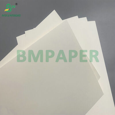 کاغذهای بیوتراژ و مایکروویو امن برای ساخت کاسه های یکبار مصرف برای سالاد