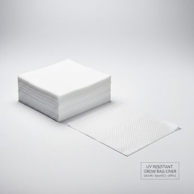 مقاومت در برابر اشعه UV انگور انگو سیب رشد کیسه کاغذ لایه داخلی پوشه