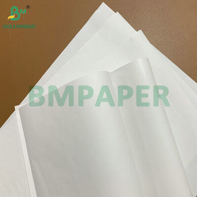 رول‌های کاغذ حرارتی درجه یک با دوام بالا، بدون BPA، 48 گرمی، 55 گرمی