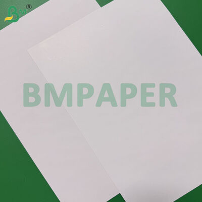 24pt 18pt Solid Bleached Sulfate Paperboard Food Grade Plate Paper 27" X 39"