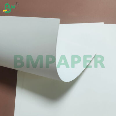 275gsm+10gsm PE Coated Bowl Stock Paper Sheets for Noodle Bowl