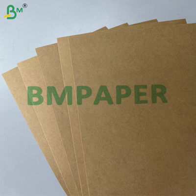 Grease & Leakproof PE PP Coated 300–330gsmFood Container Paperboard for Takeaway Boxes Trays & Lunch Box Production