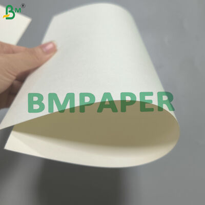 یک طرفه آب پایه پوشیده Cupstock پلاستیکی رایگان 170-320g سفید