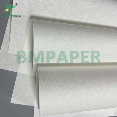 50gsm Virgin Wood Pulp White Coffee Filter Paper For Coffee Basket Filters