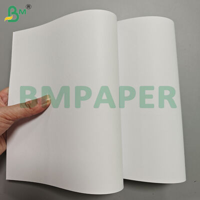 60/70/80/90gsm Book Paper Offset Wood-free Paper Jumbo Rolls