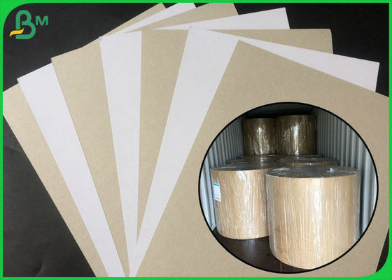 FSC Certified Covered Duplex Board Side Side With Back Gray In Rolling Package