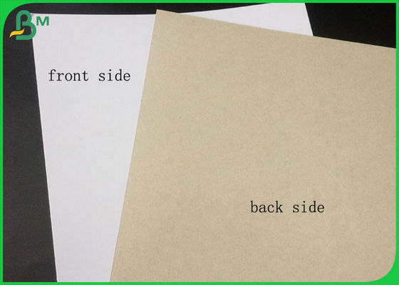 FSC Certified Covered Duplex Board Side Side With Back Gray In Rolling Package