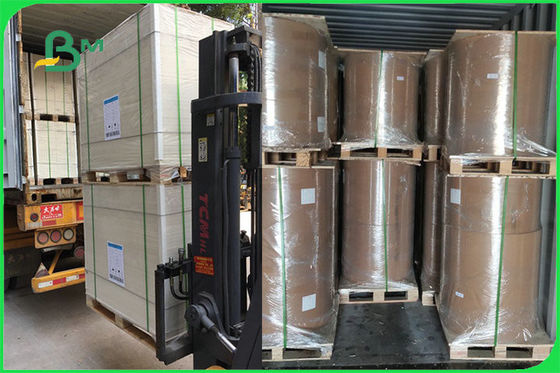 کاغذ FSC FDA 300gsm Ivory One side Coated Board White PE GC1 کاغذ کاسه ای