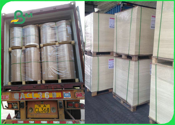 کاغذ پخت مقاوم در برابر حرارت بی نظیر FDA FSC برای پخت و پز کباب پز BBQ