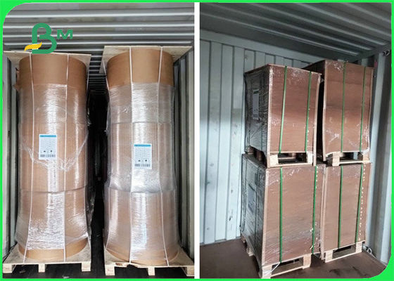 برگه کاغذ پوششی 100٪ ایمن 300 گرم + 15 گرم PE برای بسته های فست فود