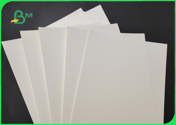 کاغذ چوب پالپ 170gsm + 15g PE Cupstock Paper برای روشنایی بالای رستوران