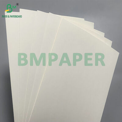 کاغذهای بیوتراژ و مایکروویو امن برای ساخت کاسه های یکبار مصرف برای سالاد